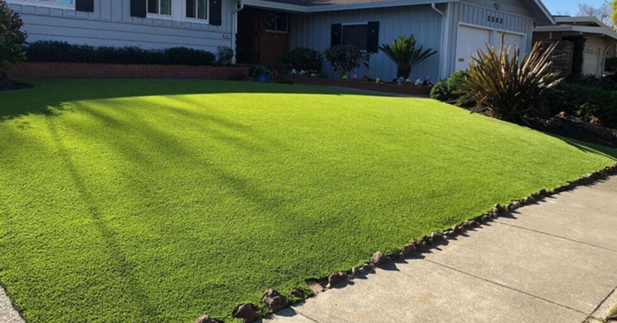 Lawn Installation